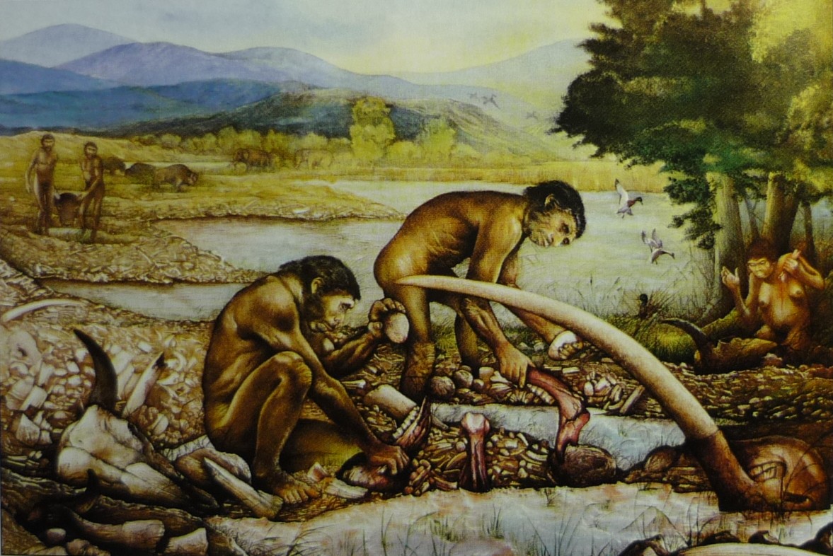 Paleosuperfice di Isernia La Pineta